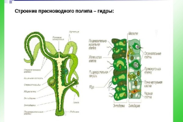 Кракен официальная kr2web in