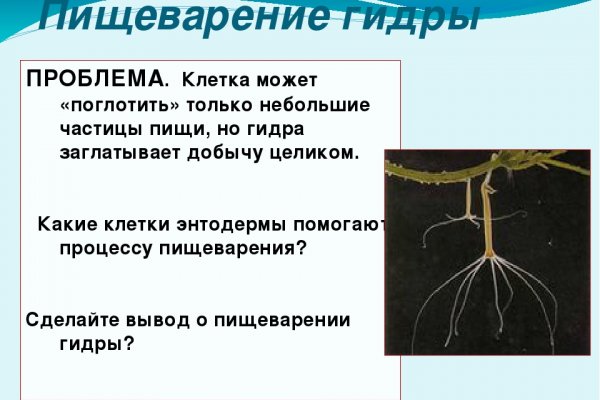 Ссылка на кракен 11